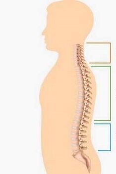 Lesion of osteocondrosis of different parts of the spine